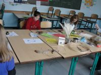 DSC08140.JPG