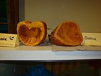 DSC00634.jpg