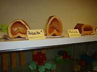 DSC00635.jpg