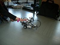 DSCI0347.jpg