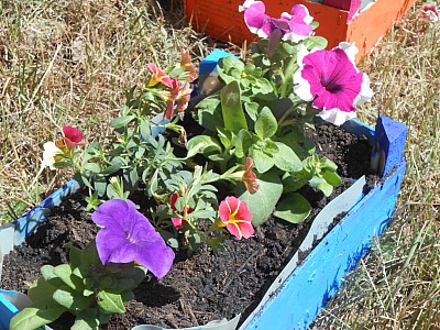 DSCN0079.jpg