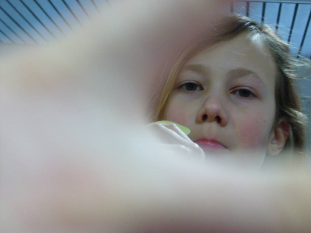 P1050595.JPG