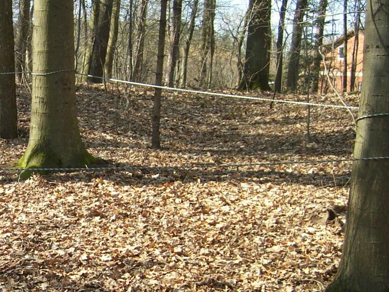 DSCI0317.jpg