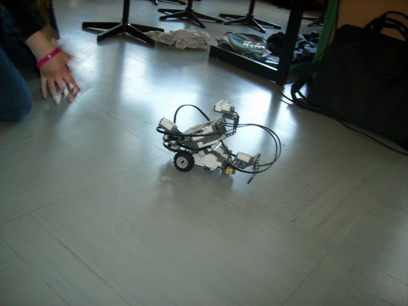 DSCI0346.jpg