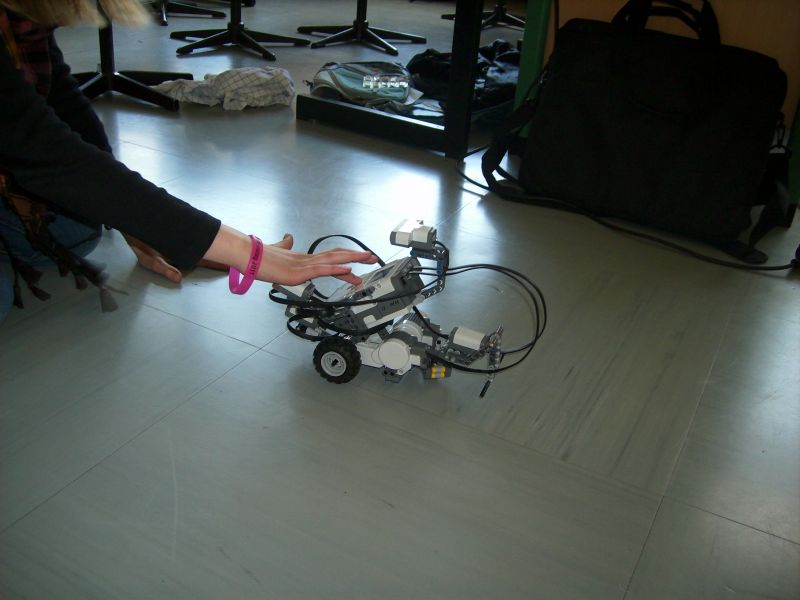 DSCI0347.jpg